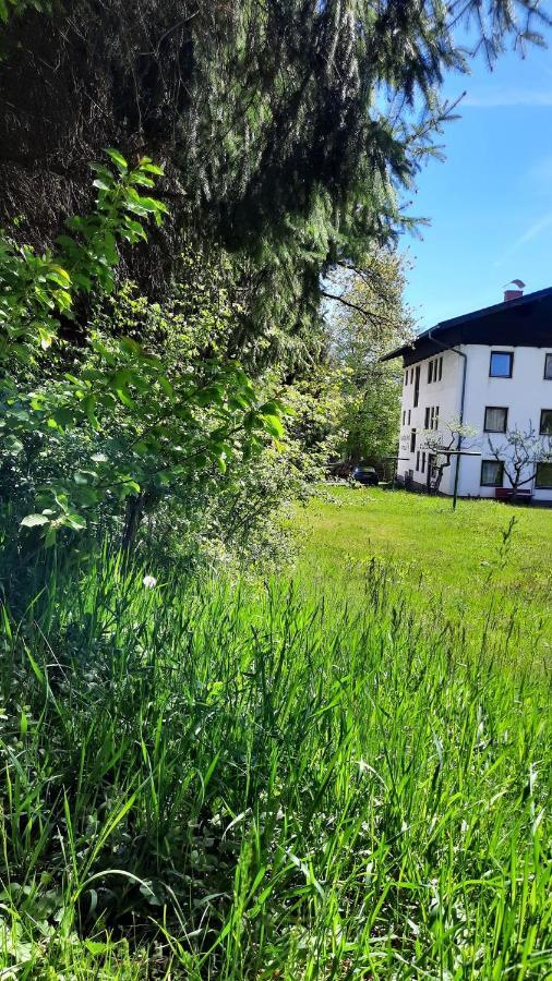 Gaestehaus Post Aigner Greifenburg Zewnętrze zdjęcie