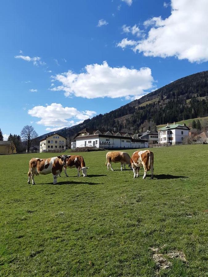 Gaestehaus Post Aigner Greifenburg Zewnętrze zdjęcie